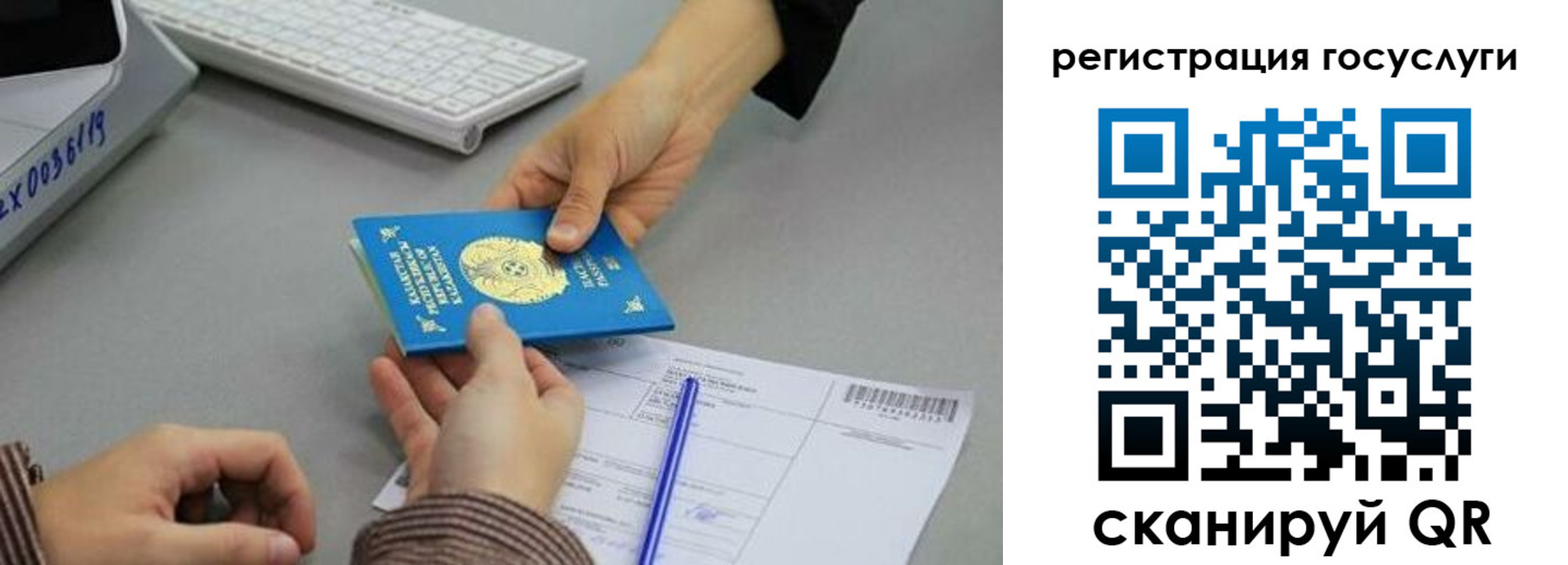 временная прописка в Новозыбкове