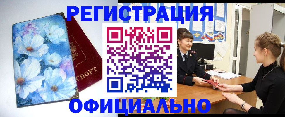 прописка поиск в Новозыбкове